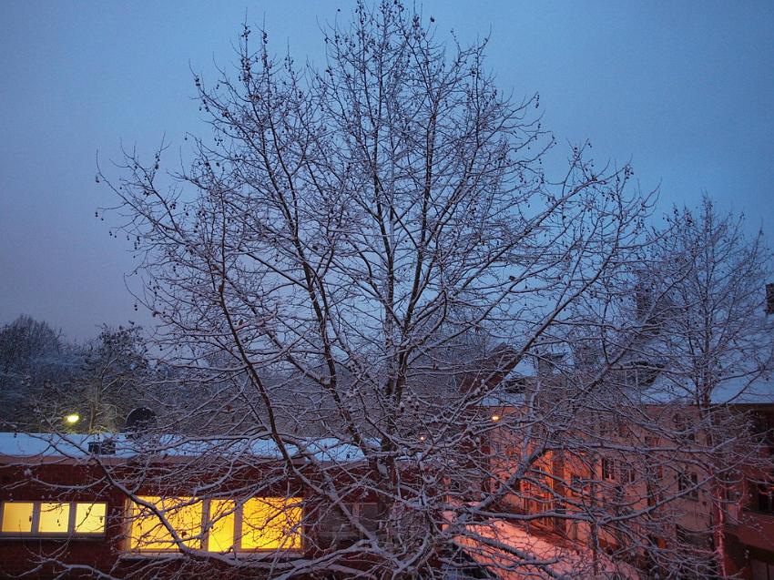 2010 Koeln im Schnee P19.JPG